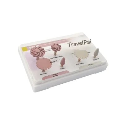 Polishing Set P2 for Dental Oral Use 8-Piece Includes Diamond Single Disc Large Flame Dual Discs Various Sizes