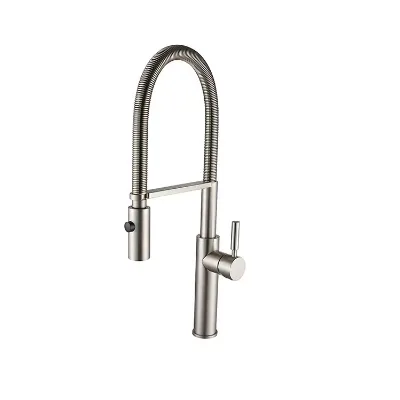 All-copper Kitchen High-bend Spring Pull-out Double Water Outlet Rotatable Pull-out Dishwasher and Vegetable Sink Faucet