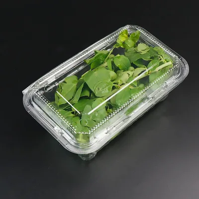 400g Biodegradable Customized Plastic clear Fresh Herb Clamshells Container Greens Packaging Living Microgreen Packaging Box