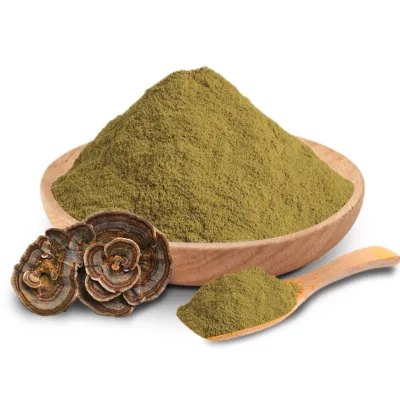 Turkey Tail Mushroom Extract Powder 10:1 Turkey Tail Fruit Body Extract Powder Trametes Versicolor Coriolus Versicolor Extract