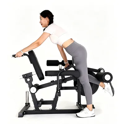WENDY Leg Extension Curl Machine Seated Quad & Hamstring Developer for Lower Body Training