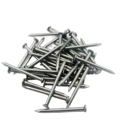Common Wire Nail 1Inch 2Inch 3Inch Polished for Wood Buildings