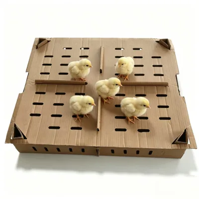 Poultry Chicken Carton Cardboard Boxes Chicks Paper Chick Transport Box