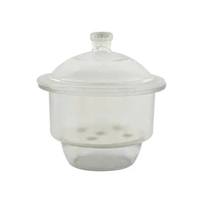 Transparent Glass Vacuum Desiccator Jar Laboratory Vacuum Drying Storage Vessel