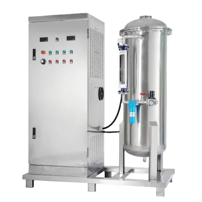 1000g/H Industrial Stainless Steel Ozone Generator for Shoe Factory Deodorization & Sterilization