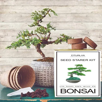 For Cross-border Handmade Modular Seedling-raising Kit Biodegradable Pulp Cups Planting Tool Set Creative Outdoor Gardening