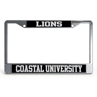 Upgrade-Style Personalized Easy Installation Bordered Chrome-Plated Car License Plate Frame