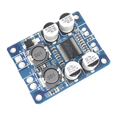 TPA3118 PBTL Mono Digital Amplifier Board 1X60W 12V 24V POWER AMP Audio and Voice Control Modules Kits