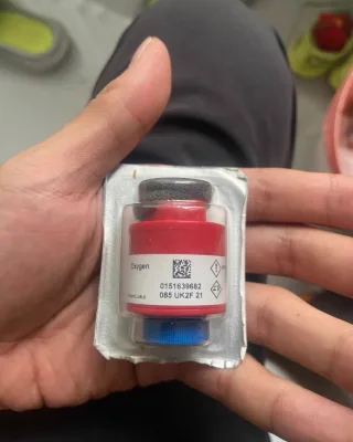 AO2 Oxygen SensorPTB-18.10AA428-210