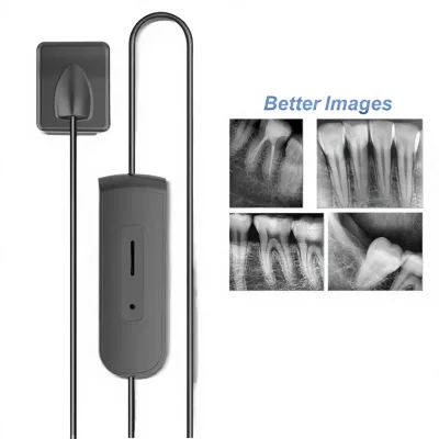 EUR VET Blue Color Dental RVG Sensor High Frequency Digital Intraoral HD Imaging System X-Ray Sensor