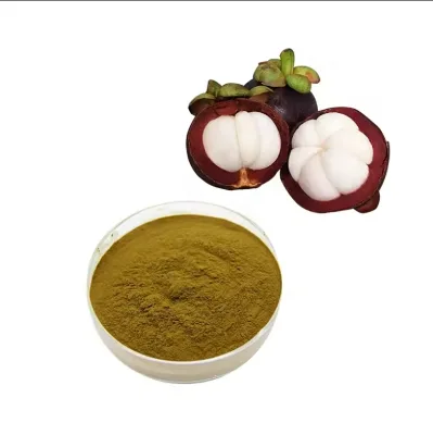 Organic Mangosteen Peel Extract Powder with Extract Mangosteen Premium Quality for Supplement