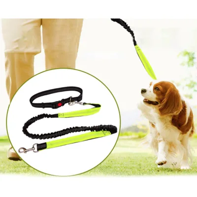 Manufacturer Wholesale Custom Hand Free Shoulder Sling Eco-Friendly Polyester Pet Dog Running Leash Lead