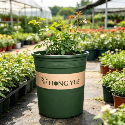 Bulk Sale Plastic Gallon Containers for Tree Planting and Flower Gardening