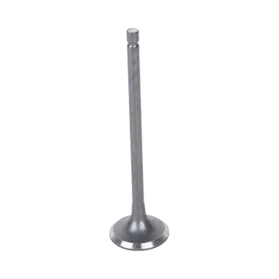 Brand New Exhaust Valve OE 13202-EN20B for Nissan X-Trail/Rogue G11Z/J10Z/MR Original Quality