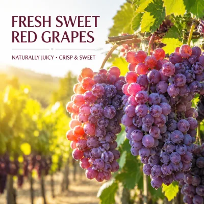 Hot Sale Fresh Red Globe Grapes Seedless High Brix 19-22° Shandong Origin 5kg/10kg Carton Export Quality