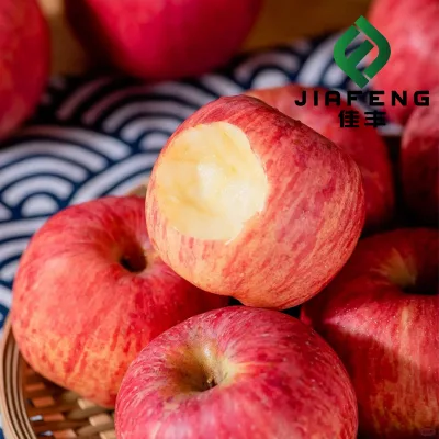 Fresh Class 1 Paper Bagged Whole Red Blush FUJI Qinguan Jiguan Gala Apple100-125PCS