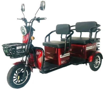 Factory Directly Wholesale High-quality Made in China 3 Wheel Electric Vehicle Customized Motorised Tricycle
