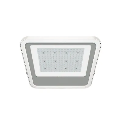 150W Led Canopy Lights for Gas Stations With ATEX Certificates