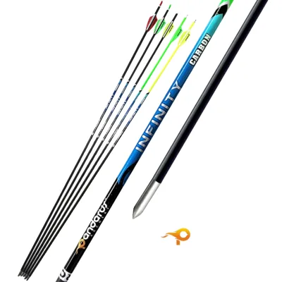 Archery 4.2mm Pure Carbon Arrow Steel Tip Plastic Traditional Recurve Compound Bow Longbow Straightness 0.003 Competition