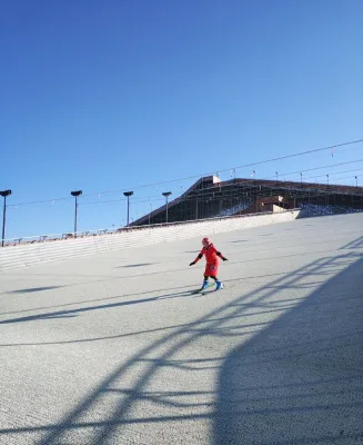 High Simulation Artificial Dry Snow Ski Slopes Runway Eco-Friendly Needle Mushroom Skiing Carpet