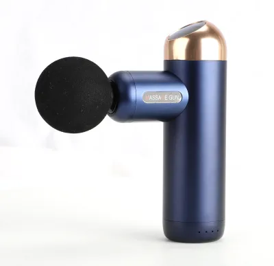 Physical Therapy 6 Speed Mini Fascial Massager Message Gun Muscle Vibration Gun
