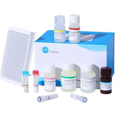 High Quality Custom FineTest Rat BALP ELISA Kit Scientific Research on Bone Alkaline Phosphatase Custom Chemical Services