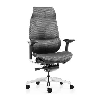 Ergonomic Design Contemporary BIFMA Certified Executive Office Chair with Fabric Revolving Sliding Seat Home Office Application