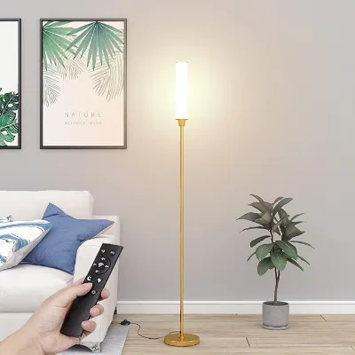 Factory Direct Gold Dimmable Floor Lamp Foot Switch Remote Control Adjustable Color Temperature Tall Standing Light