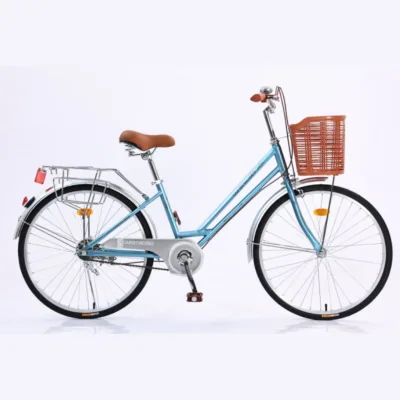 Retro-style Single-speed 24-inch Carbon Steel Leisure Bicycle with Basket and Printed Design