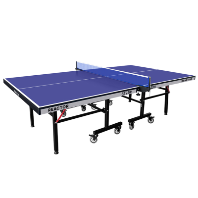 Indoor Foldable Table Tennis Table