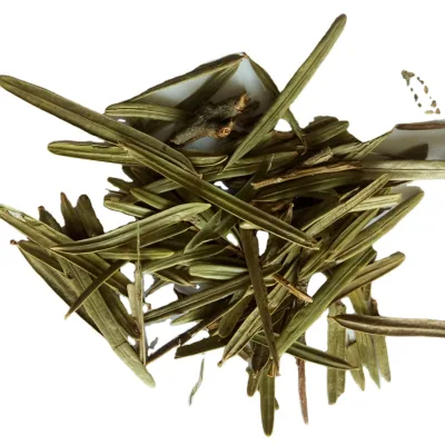 San Jian Shan Raw Dried Wholesale Green Natural Fortune Plumyew Twig and Leaf for Sale