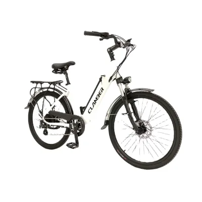 Hot Selling 250W 36V Retro Electric Bike Smart Electronic Lithium Battery Power Brushless Motor Rear Carrier for Ladies Men