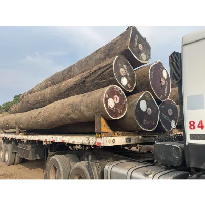 New Popularity Industrial Roof Wood Supplier From Natural Forest From Congo