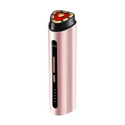 Portable Beauty Facial Skin Care Face Rejuvenation mini Facial Kit ems rf face tightening machine