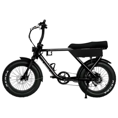 BAOGL/ 20inch Fat Tire Electric Bicycle 20 Inch Long Seat Beach  E-Bike 48V500W Adult Commuter Electric Bike