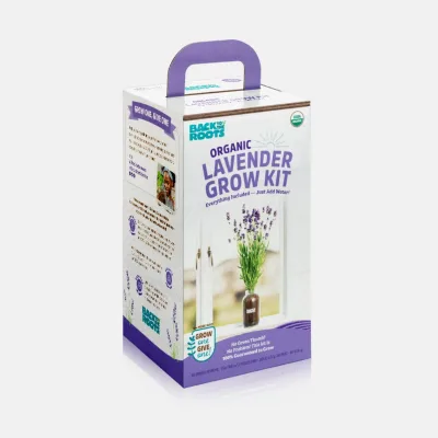 Organic Lavender Windowsill Planter for Home Indoor Use
