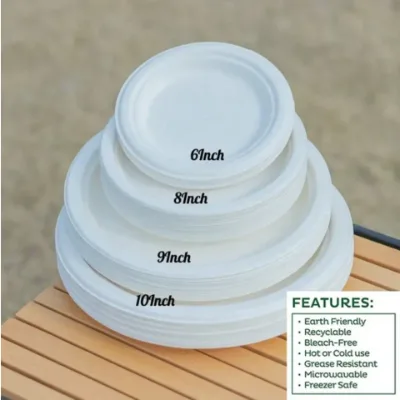 OEM Eco-Friendly 9 inch Dinner Plates 100% Compostable Sugarcane Pulp Bagasse Disposable Printing Plates