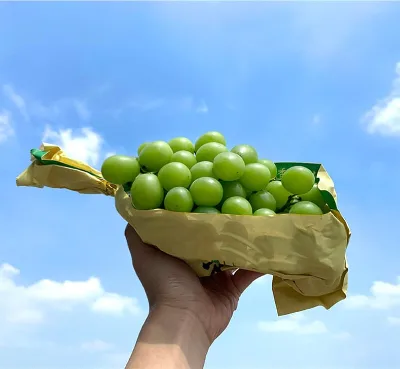 High Sweet Fresh Shine Muscat Grapes Natural Seedless Green Grapes With Rich Vitamins Produced