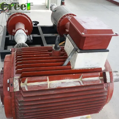 Efficient 60rpm 100rpm NdFeB Steel Shaft Magnetic Generator Over 95% Renewable Energy Product