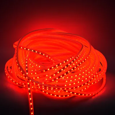 Waterproof Long Rope Lamp 220v 8mm 10mm Exterior High Voltage Advertising Building Decoration Smart Led Strip Light Manufacturer
