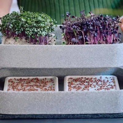 Micro-garden-set XL Plant Station for Microgreens