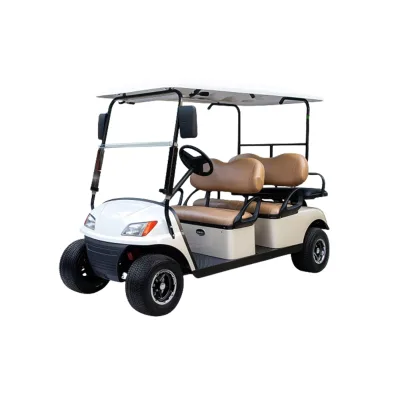 Carbon Electric Golf Cart 4-wheel Electric Golf Cart Golf Cart Body