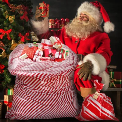 Eco-Friendly Christmas Plastic Gift Bags, Reusable Holiday Packaging for Presents