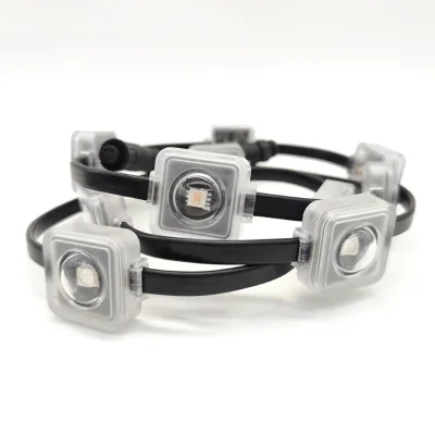 IP65 30mm DMX RGB PC LED Point Light String for Landscape Lighting with 2-Year Warranty