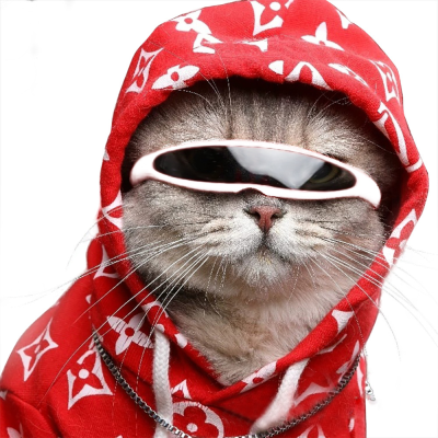 Cool Fashion Cat Eye Sunglasses Pet Outdoor Supplies Windproof Mini Glasses for Cats Pet Accessories Sun Glasses for Pet Cat