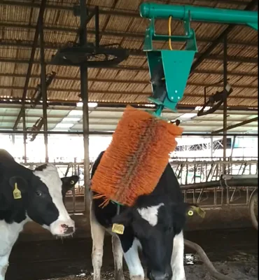 Factory Direct Livestock Massage Scratching Horse Grooming Kit Cow Brush Roller for Cleaning Farm Equipment
