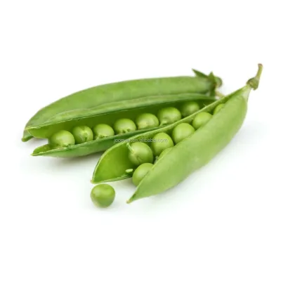 Now Crop IQF Frozen Sugar Snap Peas Top Quality Sugar Snap Peas Export Standard Size Sorting for Food Service
