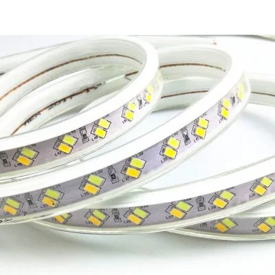 Home Hotel Walkway Garden 220v Lighting Decoration Soft Lamp Double Colors 5730smd Flexible Ip65 Wall Strip Light Waterproof