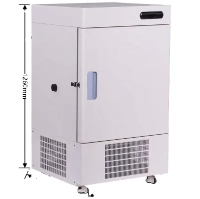 108L Upright Low Temperature Deep Cooling -60 Degree Refrigerator Small Size Household Freezer