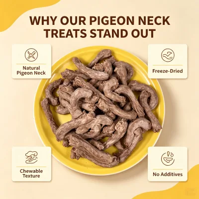 Squab Necks Freeze Dried Dog Cat Pet Treats Novel Protein Dental Chew Natural Training Snack Wholesale OEM Use